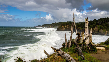 Stormy ocean waves crashing on rocky coastline with driftwood and cloudy sky