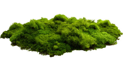 lush green mossy landscape isolated on white background