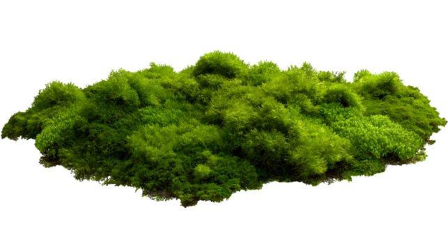 lush green mossy landscape isolated on white background