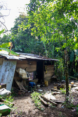 cabaña vieja en la selva peruana