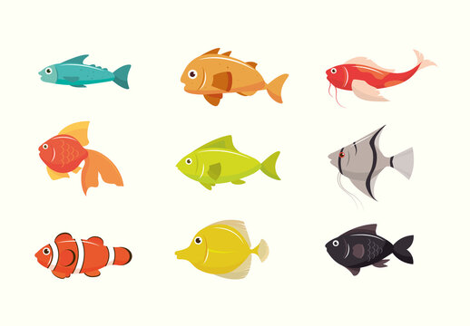 Colorful Fish Sea Animal Ocean Aquatic Illustrations Set
