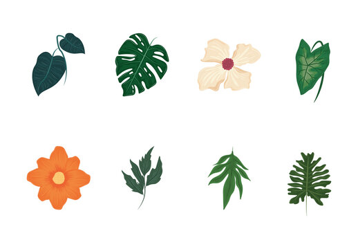 Green Botanical Tropical Plant Illustrations Set