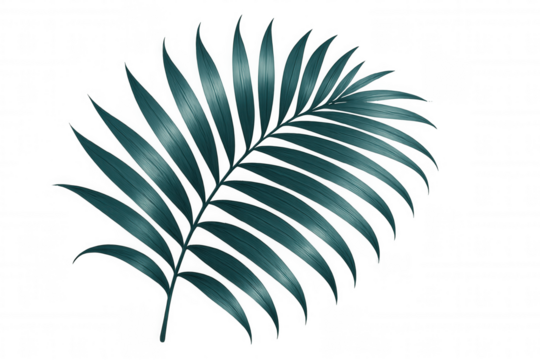 Teal palm leaf floating against transparent backdrop, suggesting vibrant summer tropical relaxation