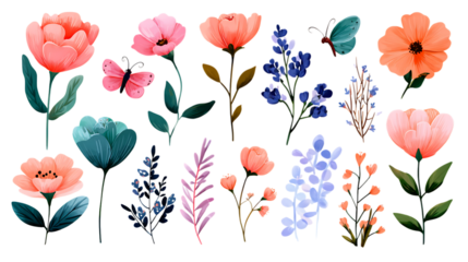 Set of different kinds of flowers