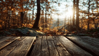 Autumn forest scene with wooden table