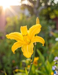 Vibrant yellow lily in garden