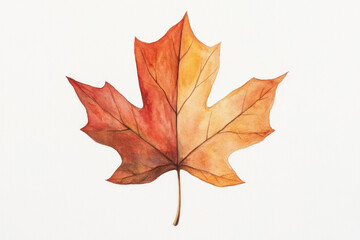 Obraz premium Watercolor maple leaf illustration in warm autumn hues, featuring delicate veins, soft texture, and subtle shading on a bright white background for a graceful nature art focal point.
