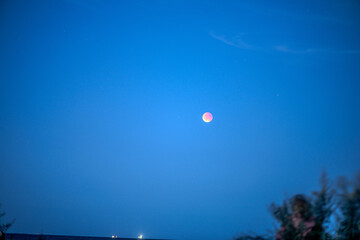 A stunning photo of a lunar eclipse with the moon glowing at night above the sea, creating a dramatic celestial seascape.