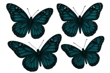 Four teal butterflies with open wings, isolated on a transparent background, perfect for graphic design projects