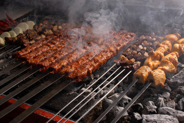 Grilled Onion, Tomato, Chicken, and Meat Skewers Photo