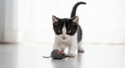 Playful kitten intently stalks toy mouse soft light. AI Generated