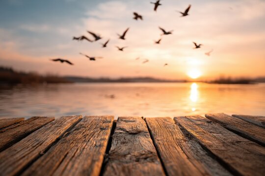 Rustic wooden dock at sunset with birds flying overhead
