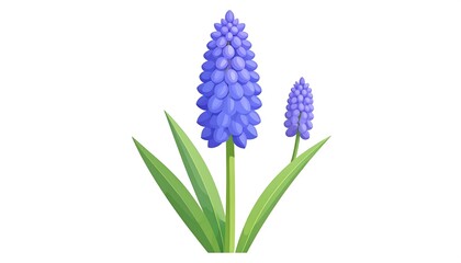 Obraz premium Purple Flower Illustration