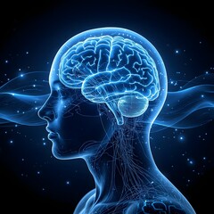 Obraz premium Futuristic Human Brain Visualization