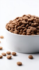 Bowl Full of Dry Pet Food, Overhead Studio Shot on White, Nutritious Meal