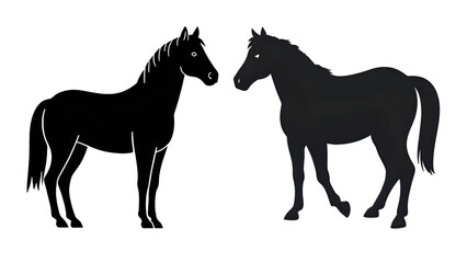 Isolated horse animal with cartoon vector illustration on transparent background