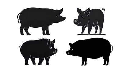Pig farm animal isolated with cartoon vector illustration on transparent background