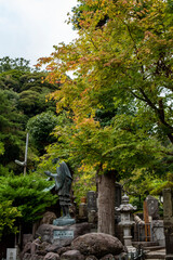 鎌倉2594　光触寺4