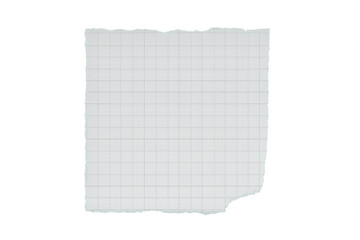 Fototapeta premium Piece of squared paper with ripped edges creating a blank space for text or design, isolated on transparent background