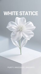 Phone Wallpaper Series : Flower Language - White Statice, means : Purity, Innocence, Sincerity 001
