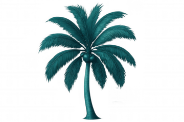 Teal-colored coconut palm tree isolated on a transparent background, perfect for tropical or summer-themed designs