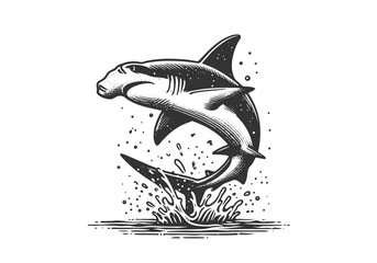 Hammerhead Shark Hand Drawn Engraved Sketch Vector Illustration by AZ for Books, Arts, Design and Decoration Graphic Asset