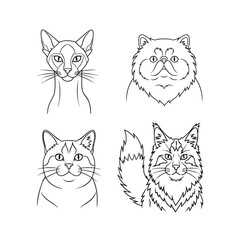 Fototapeta premium A collection of four different cat breed portraits in a black and white line art style.