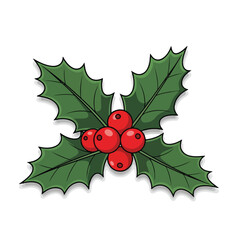 Festive Holly Berries and Leaves Illustration.