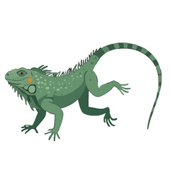 Fototapeta premium An animated iguana illustrated against the background