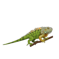 Obraz premium A detailed illustration of a green iguana perched on a tree branch