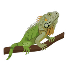 Fototapeta premium A vibrant green iguana perched on a branch, showcasing intricate details and vivid color. The reptile's scales and distinctive features come alive in this digital depiction.