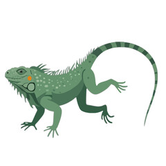 Fototapeta premium An Illustration of a green iguana with spiky crest and long tail