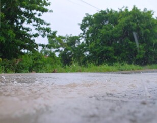 Fototapeta premium Rain on a road