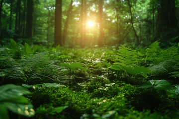 Obraz premium Sunlight filtering through green leaves in a forest.