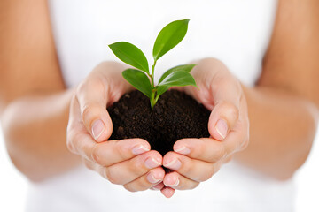 Cultivating Growth A Close Up of Hands Holding a Young Plant in Soil Symbolizing Nurturing New Life and Environmental Responsibility for a Sustainable Future