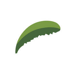 Curved tropical banana leaf illustration, natural exotic element for gardens, jungles, and eco-friendly designs.