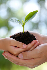 Nurturing New Life A Child and Adult's Hands Gently Cradle a Sprout Symbolizing Growth Hope and Environmental Stewardship Against a Soft Bokeh Background