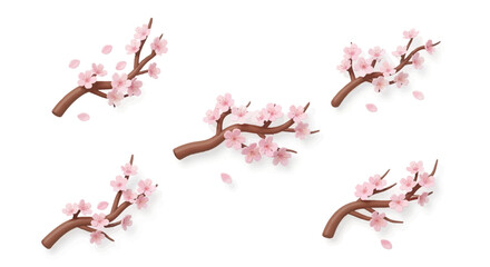 Set of five elegant pink cherry blossom branches with scattered delicate petals, offering a beautiful floral design element for spring-themed creations and projects
