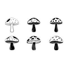 mushroom bundle design. healthy natural food.