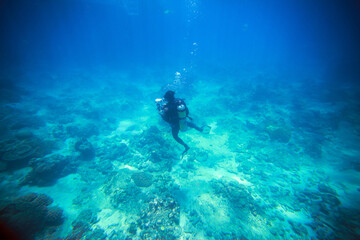Fototapeta na wymiar One scuba diver takes pictures underwater world on the Great Barrier Reef. Diver with camera, top view