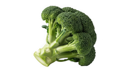 Fresh vibrant broccoli florets isolated on a showcasing healthy eating and culinary ingredients transparent background