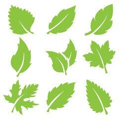 Green leaf icons set. Fill Leaves icon isolated background. Collection of green leaf. Leaf sprout icon vector set, green leaves plant eco logo symbol simple graphic illustration set. eps 10
