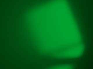 Obraz premium Green background abstract line shadow overlay on cement wall floor beige mockup product cosmetic summer tropical nature presentation frame template eco backdrop environment