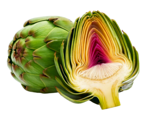 Artichoke flower edible bud and its cross cut isolated on white background.