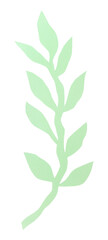 Green leaves png sticker DIY paper craft