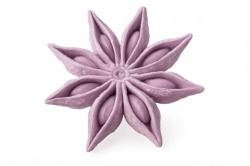 Close-up of a pink star anise seed pod, isolated on a transparent background, showcasing its unique texture and intricate details