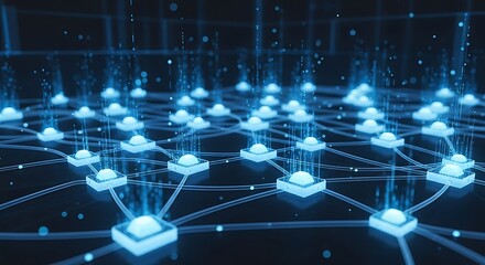 Advanced Network System Design.