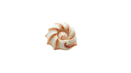 Isolated spiral seashell with a brown and cream pattern, showcasing the intricate natural beauty of marine life found on beaches
