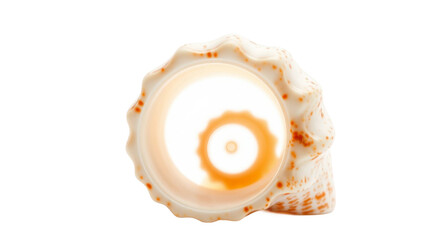 Close-up view of a spiral seashell's opening, showcasing its intricate patterns and orange speckles against a clean white background, offering a minimalist and elegant natural detail