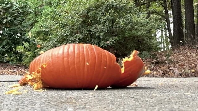 Rotten Halloween pumpkin is smashed to pieces on pavement